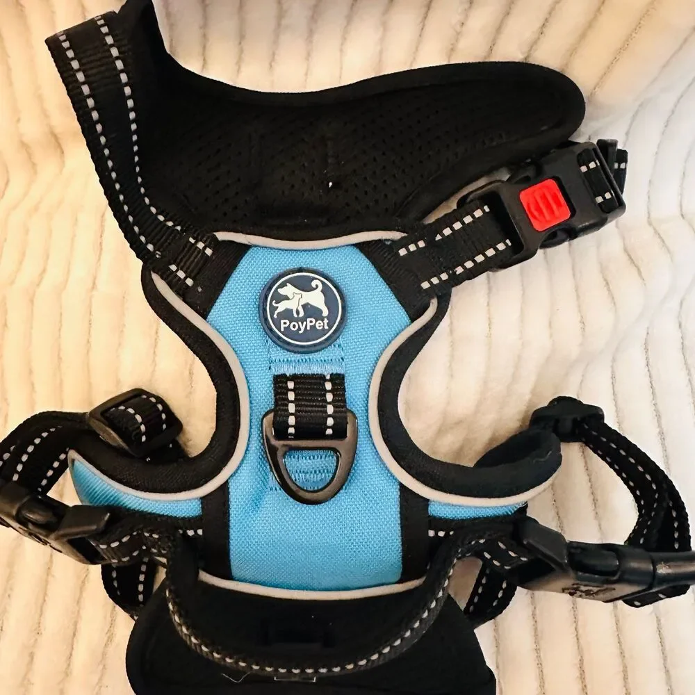 PoyPet Dog Harness No Pull Reflective Adjustable No Choke in Blue Small